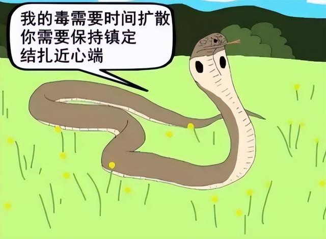 黑曼巴蛇的天敌:蛇最怕什么？在野外碰到蛇该怎么做呢？