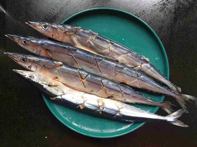 秋刀鱼在日本非常受欢迎，为何中国人却不喜欢吃呢？插图18