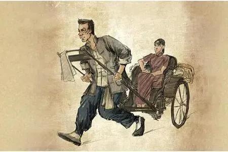 我的鸵鸟先生:特种养殖中，鸵鸟养殖前景怎么样？个人养殖违法吗？