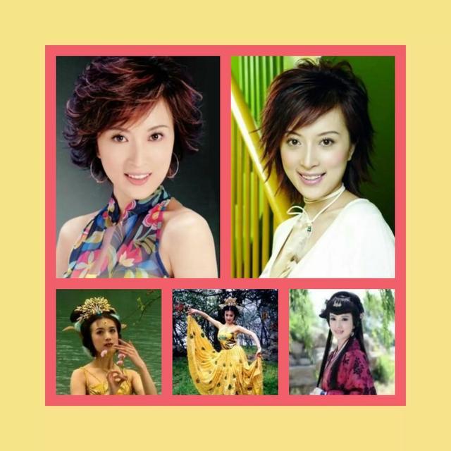 岳母的幸福生活剧情介绍:出生于沈阳的影视女明星知多少