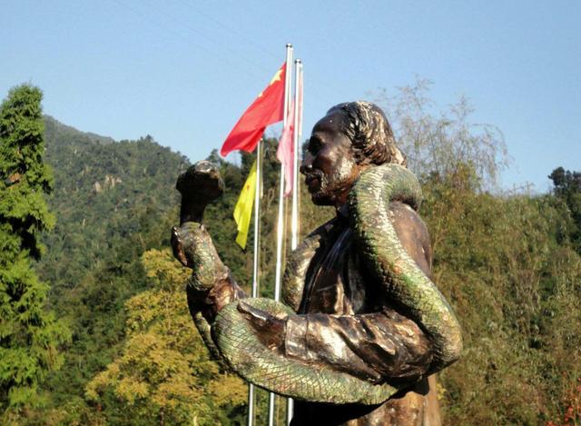 红海巨蛇:莽山烙铁头号称世界上最贵的毒蛇，究竟是为什么一条价值上百万？