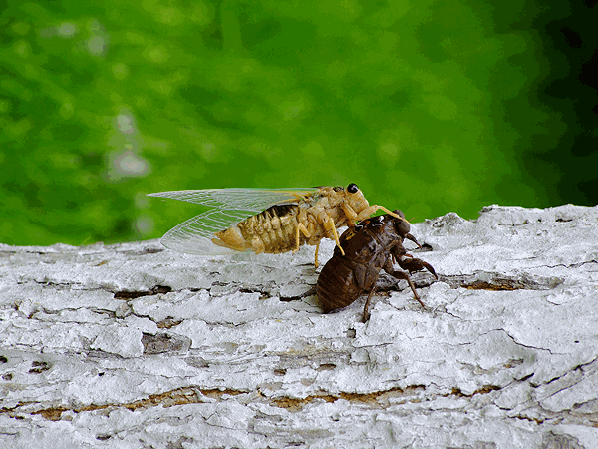 598_449gif 动态图 动图