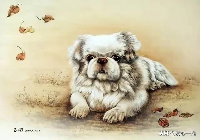 十二生肖身上最让人喜欢的有哪方面？