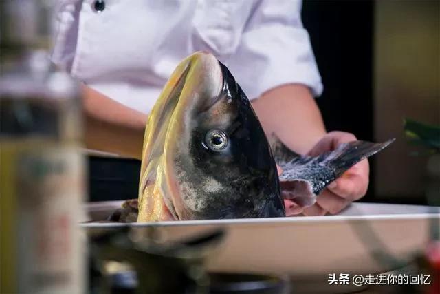 9年前湖中曾出青鱼王212斤:澄江的青鱼为什么那么鲜美？
