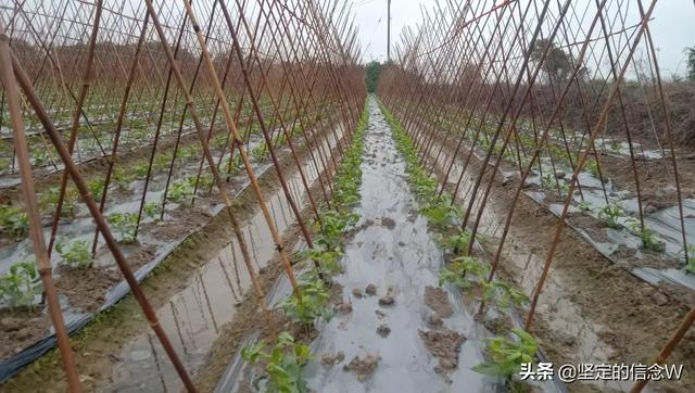 台风灿都预计今天下午穿过舟山群岛，为何大多数台风都会经过海南？