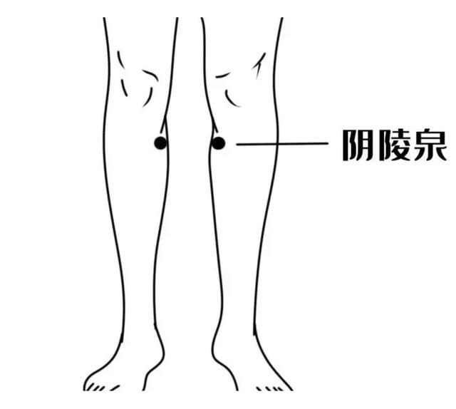 舌头胖大有齿痕，需要怎么调理？插图11
