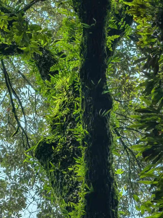 职场中不成熟的表现有哪些，职场中不成熟的表现有哪些