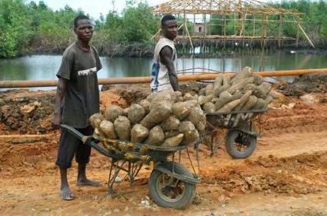 非洲土地广袤，为什么那里的人不种地，他们吃什么？插图28