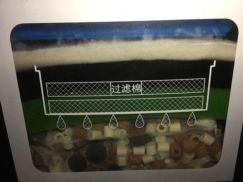 中国观赏鱼之家在线观看:新买的鱼缸，水混怎么办啊？