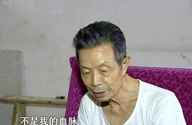 暑假给孩子吃4种鱼长个不用愁，父母慈，子女孝。摊上不负责任的父(母)亲，子女该怎么办