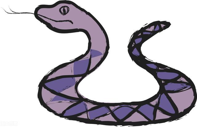 属蛇最怕的是什么，属蛇人忌讳什么不可触犯的底线是什么