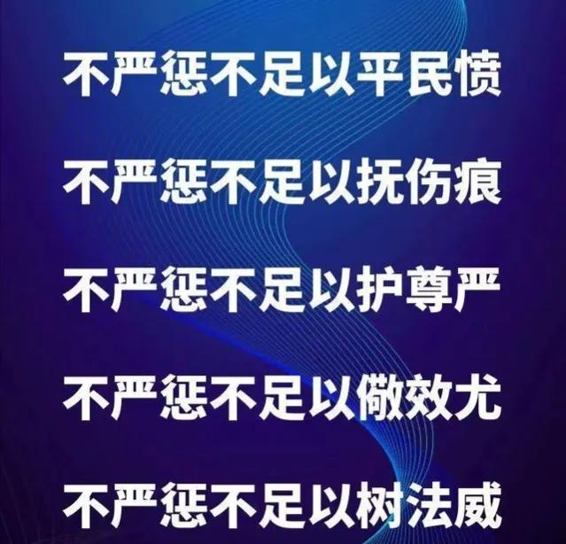 带宠物鸭扫大街萌坏路人:唐山打人事件，黑衣女子被网暴，冤不冤？