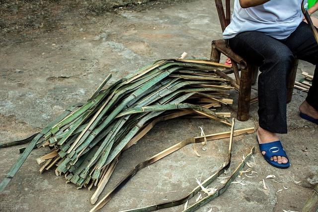 大家听过或经历过最感人的动物报恩的故事是什么？插图43