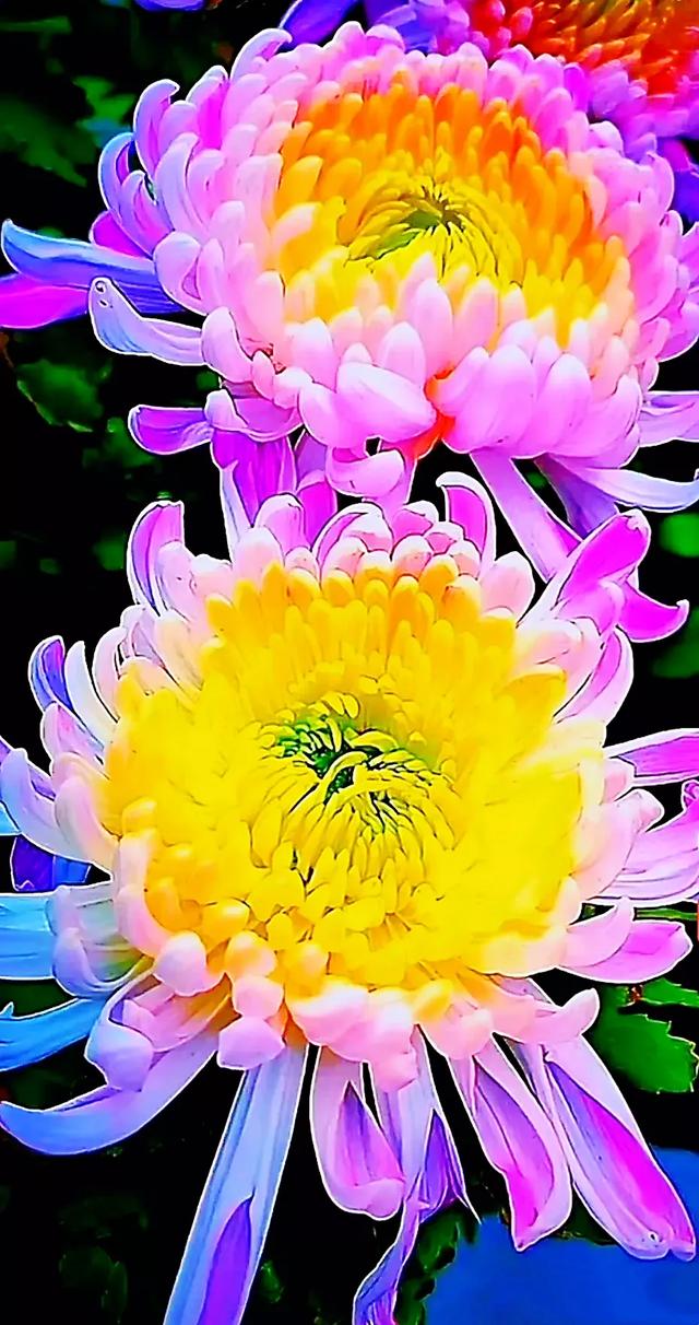 如何看待头条上冒出大量<a href=https://maguai.com/list/25-0-0.html target=_blank class=infotextkey>空姐</a>