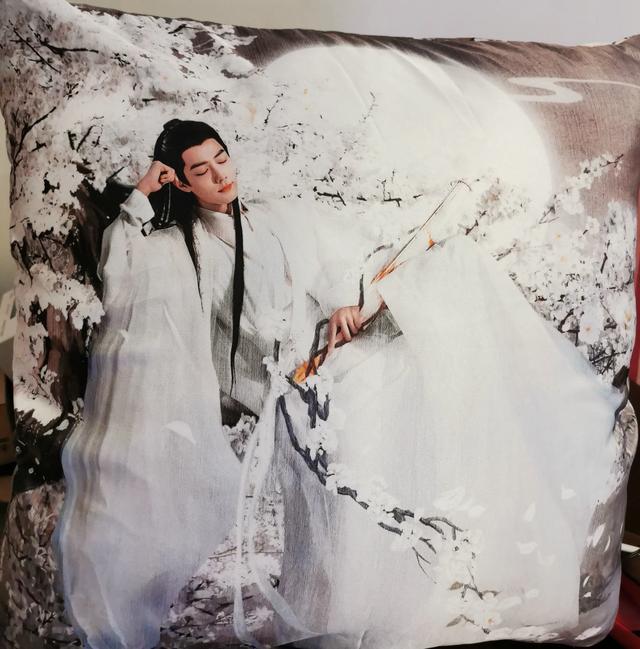 你认为在动漫、小说、影视作品中哪个角色称得上是“陌上人如玉，公子世无双”？插图26