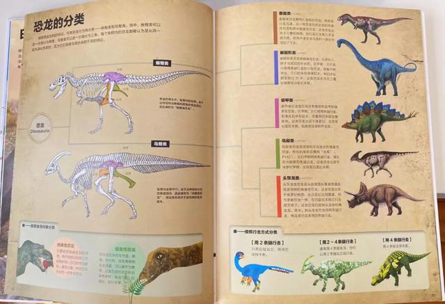 比较好的儿童恐龙书籍 关于恐龙的书籍哪些好(图4)