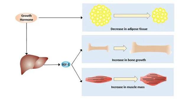 为孩子注射了生长激素的家长。你们的孩子都长到理想的高度吗？插图2