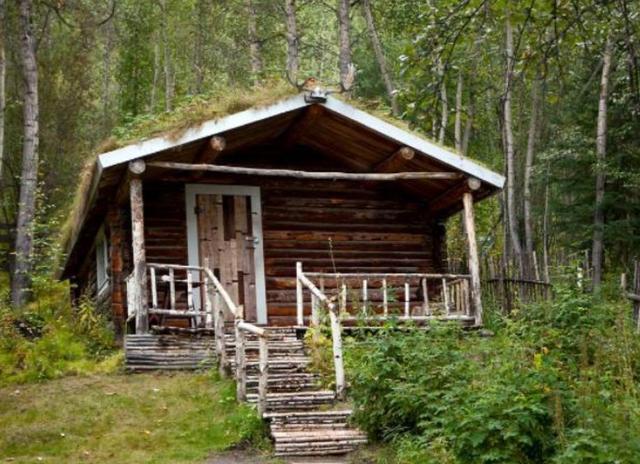普京暴露风险很大？，俄罗斯森林中有很多小木屋，但为什么都说不要轻易进去？