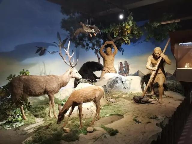 人类为何是群居动物?每一个人都住在一个山洞里独自修行不香吗?