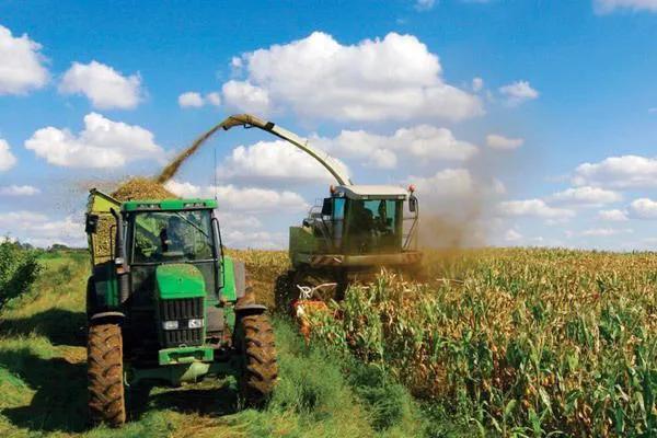 拥有海量铁矿石的澳大利亚为何不自己炼钢，从而创造更多的利润？插图35