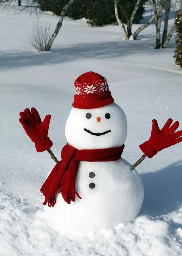 头条问答 - 全国大部分地方都在下雪,你见过什么样的雪人?(6个回答)