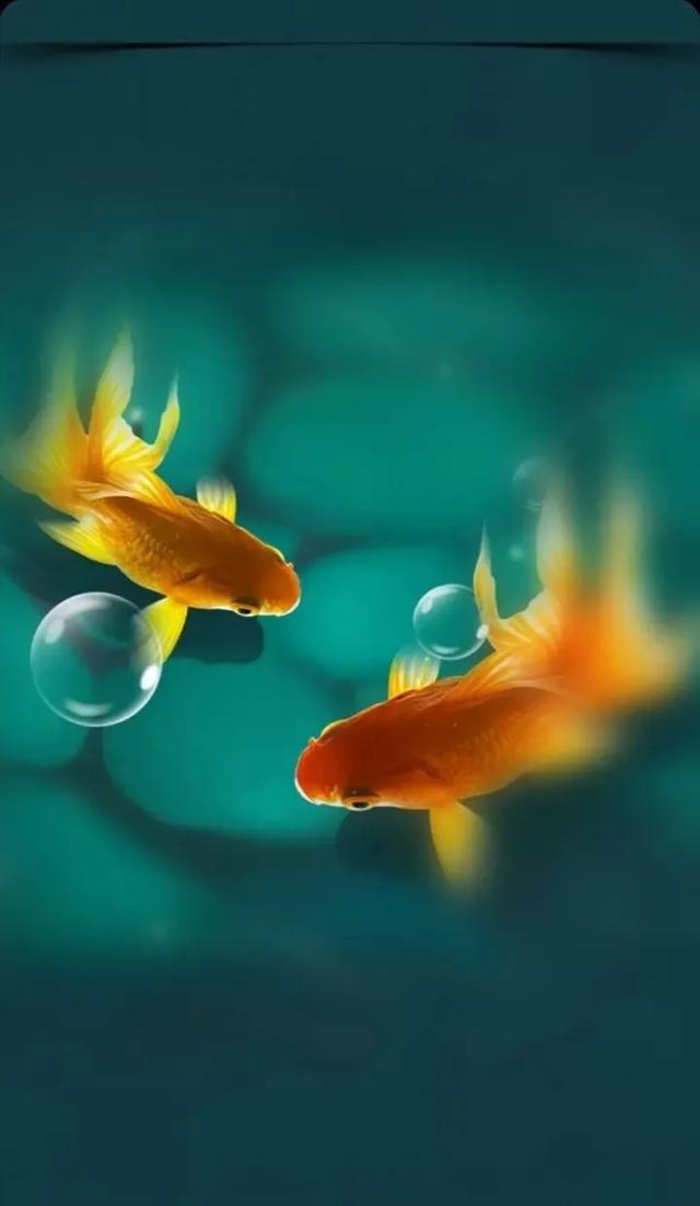 其他网友回答:其他网友回答:自拍的其他网友回答:画面唯美,美仑美奂