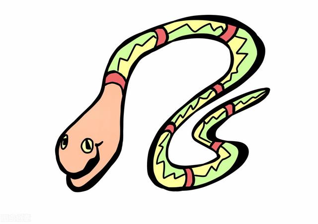 属蛇的人性格是啥样的，属蛇人忌讳什么不可触犯的底线是什么
