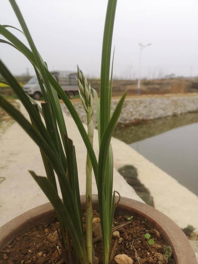 有什么在家就能做的兼职吗？