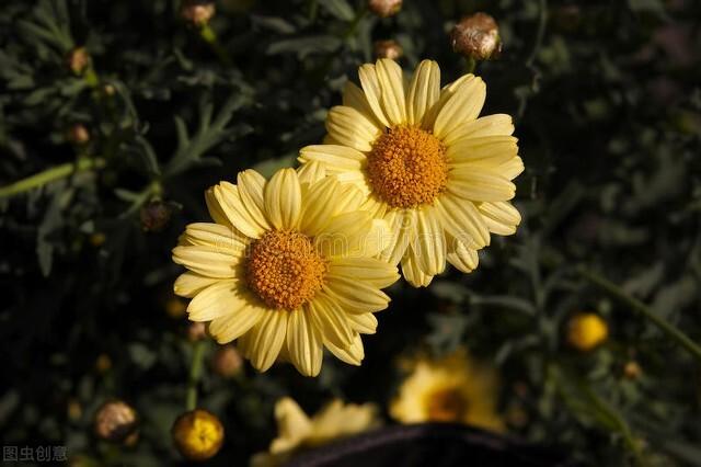 头条问答 生命中最应该珍惜的是什么感情 海员大哥的回答 0赞