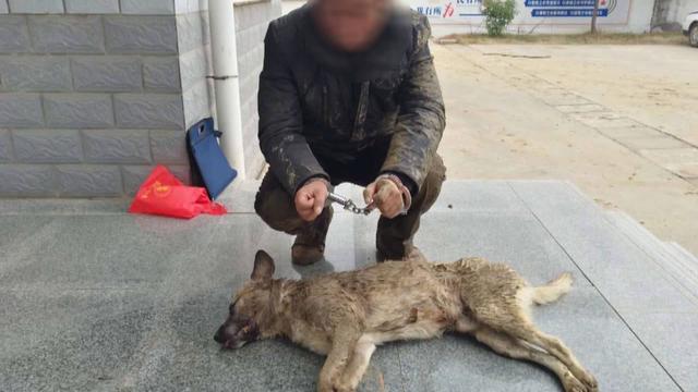 如何抓偷狗賊:农村抓到偷狗贼，一村人把嫌疑人打死了，法律责任怎么划分？