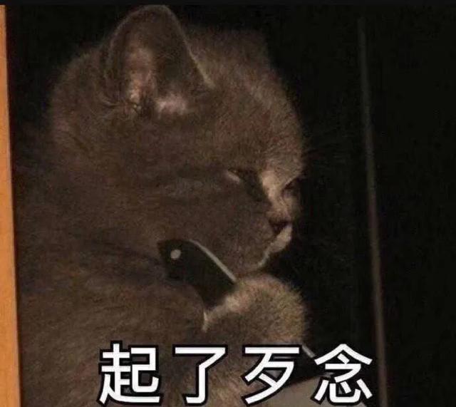 你们有哪些珍藏的表情包？