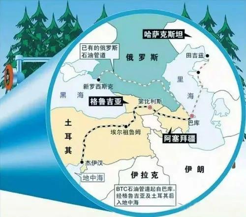 美国可卡论坛:你家的宠物活了多少年？看看谁家的宠物活的最长？