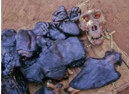 非洲人一般都吃什么呢？插图31