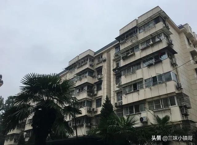 惊奇异闻录，老婆很壮打了我和我妈，还威胁我不准离婚，我该怎么办