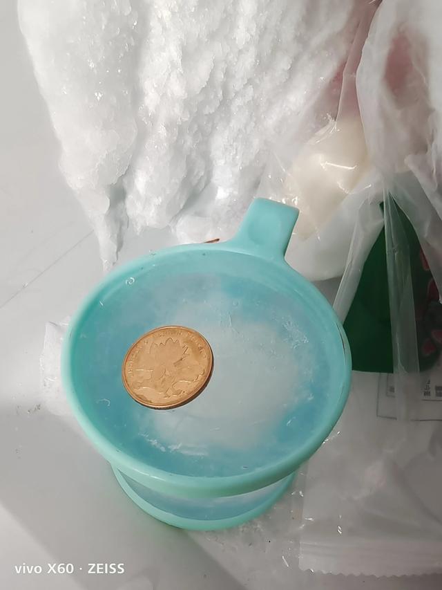 出远门时，为什么要给冰箱里放一枚硬币？插图34