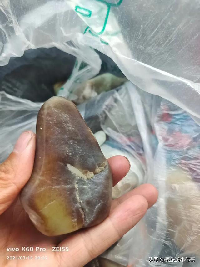 新疆的候鸟有哪些:新疆棉花质量好 新疆都有什么地方可以捡石头？现在还来得及吗？