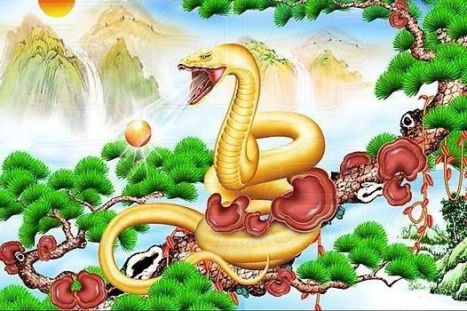 阴山背后是什么生肖:最喜欢挑拨离间的生肖有哪些？