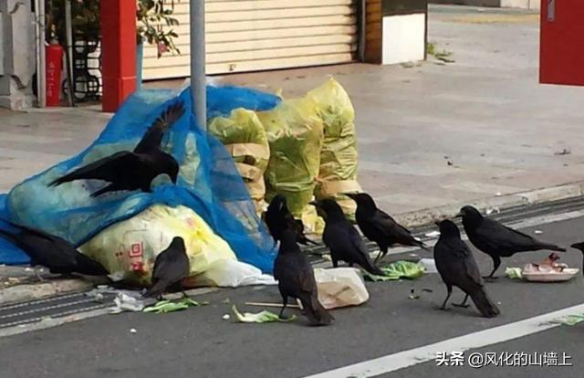 日本人平均月薪2万人民币，真实的日本<a href=https://maguai.com/list/55-0-0.html target=_blank class=infotextkey>生活</a>是怎样的