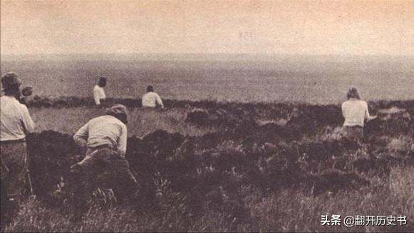 二战中，如果日军不招惹美国，直接配合德国进攻苏联会如何？插图96