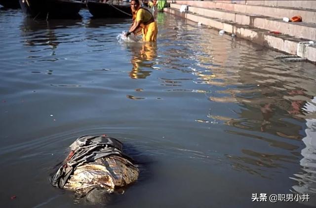 长江漂浮的垃圾都去哪了，清道夫是何方神圣？为何在广东泛滥，却在印度栽了跟头？