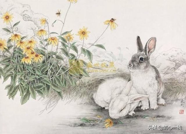 结完婚，女人天职就是相夫教子吗？