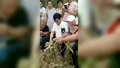 于文华现任老公:为何大衣哥关注度高，而同样星光大道出来的关注度就没他高