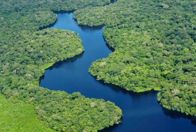 亚马逊女性部落繁殖，食人鱼如此可怕，为什么没有在亚马逊河泛滥