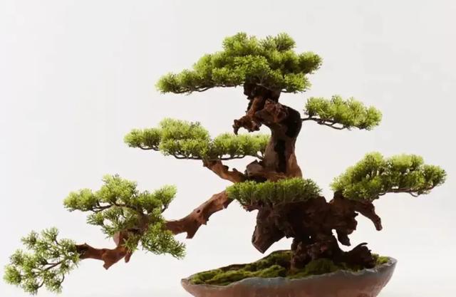 有的人十多年了手机号从来没换过,正常吗？这样的人什么心态？