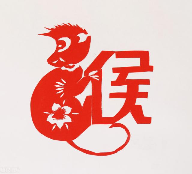什么是白眼狼图片大全:十二生肖中，哪个生肖看似惹人怜，实际上是个白眼狼？