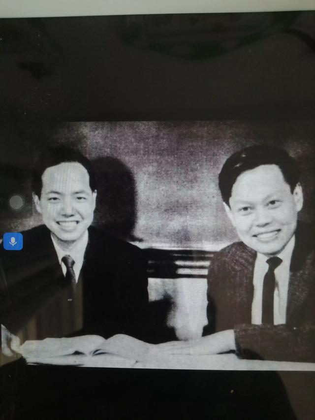 杨震宁:杨振宁和钱学森谁的水平更高？