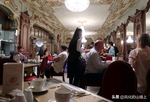 宠物志愿硬盘版下载:美国人平均月薪4万人民币，真实的美国生活是怎样的？