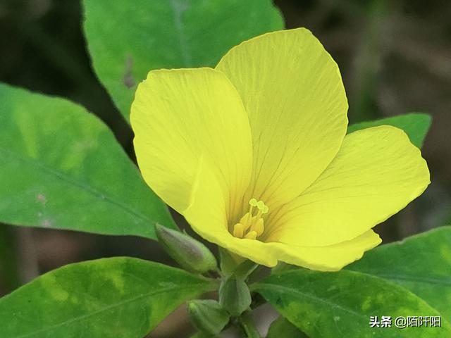 送女朋友保平安的礼物,平安夜你们都送女朋友什么？