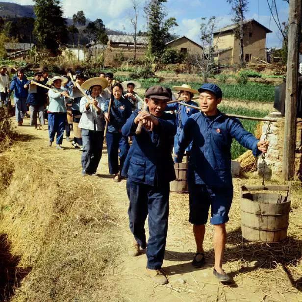 六十年代农民一年分多少粮食