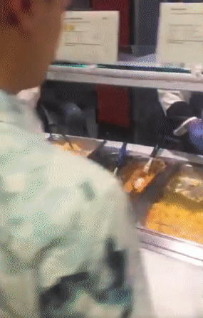 猫咪吃西瓜动图:我家猫居然喜欢吃油麦菜，你家宠物有没有什么奇葩的爱好？